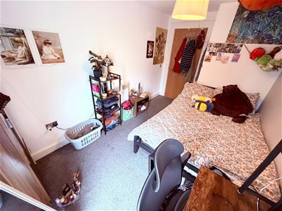 Picture 11